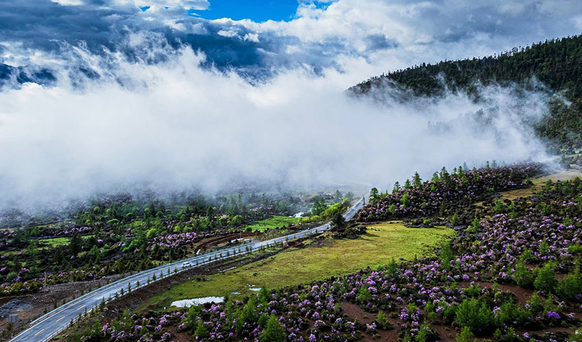 赛事沿途风景。主办方供图 