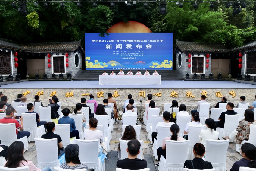 活动现场。罗平县融媒体中心供图