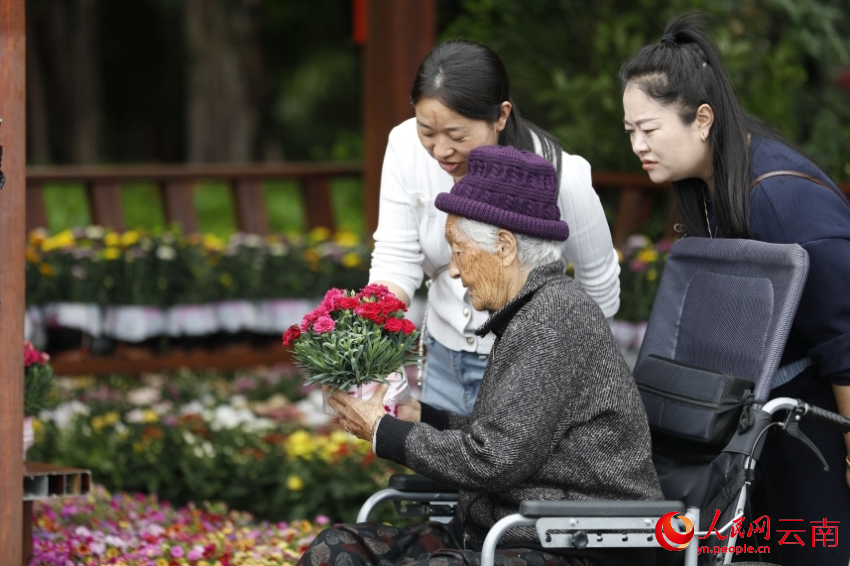 市民选购盆栽。官智钦摄