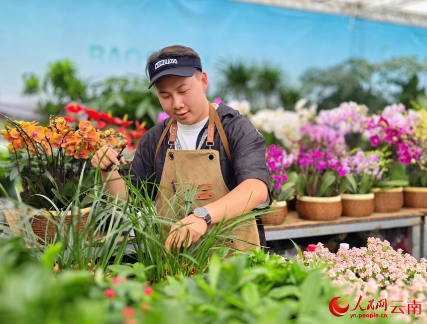 商户将自家种植的花木带到花街展示售卖。人民网 尹馨摄