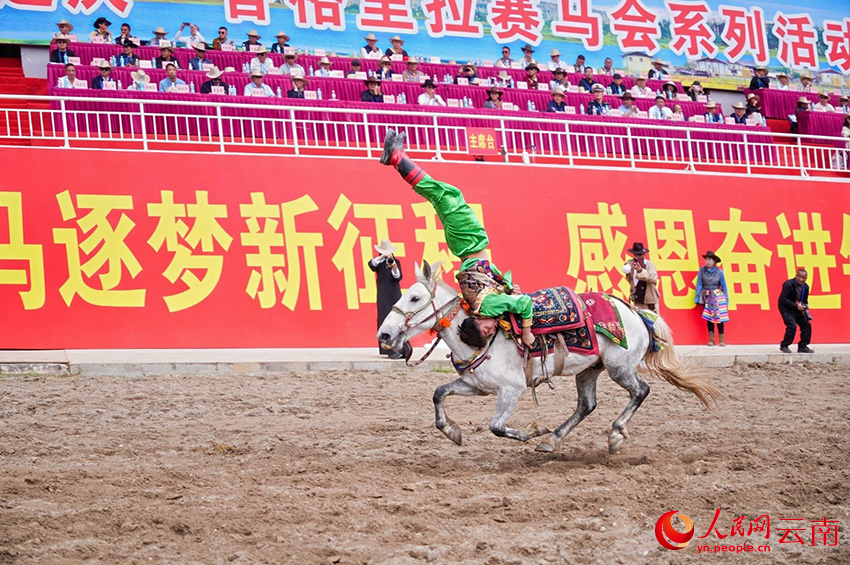 马术表演。徐俊摄