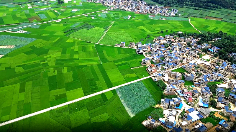 丘北绿美乡村。