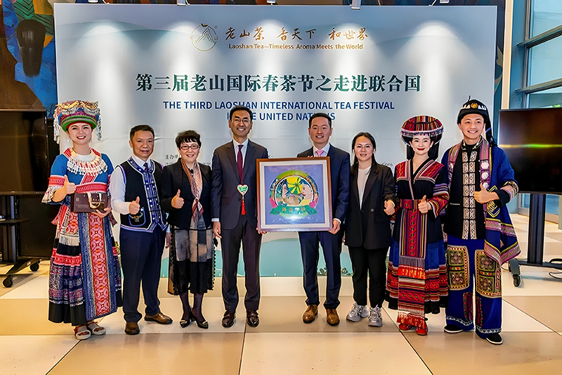 老山茶走进联合国。
