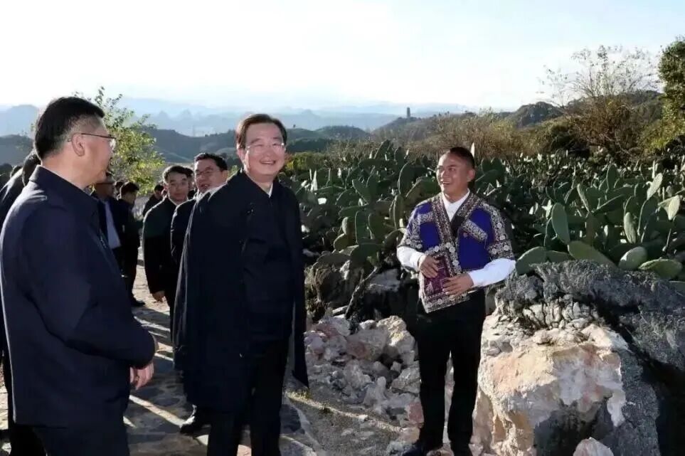 2025年12月8日，王宁在文山市红旗社区庄子田村仙人掌种植基地，与带领群众致富的村党支部书记鲁春红交流。（雷桐苏 摄）