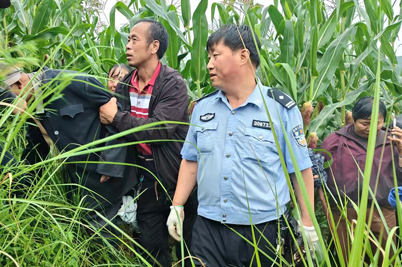 走失老人在一片玉米地中被找到。宣威警方供图