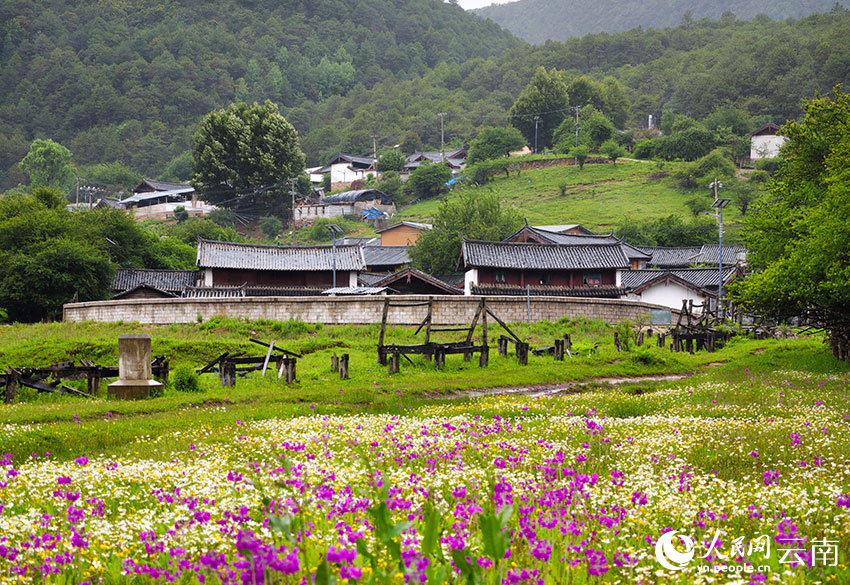 盛夏时节，丽江九子海风景如画。和俭摄