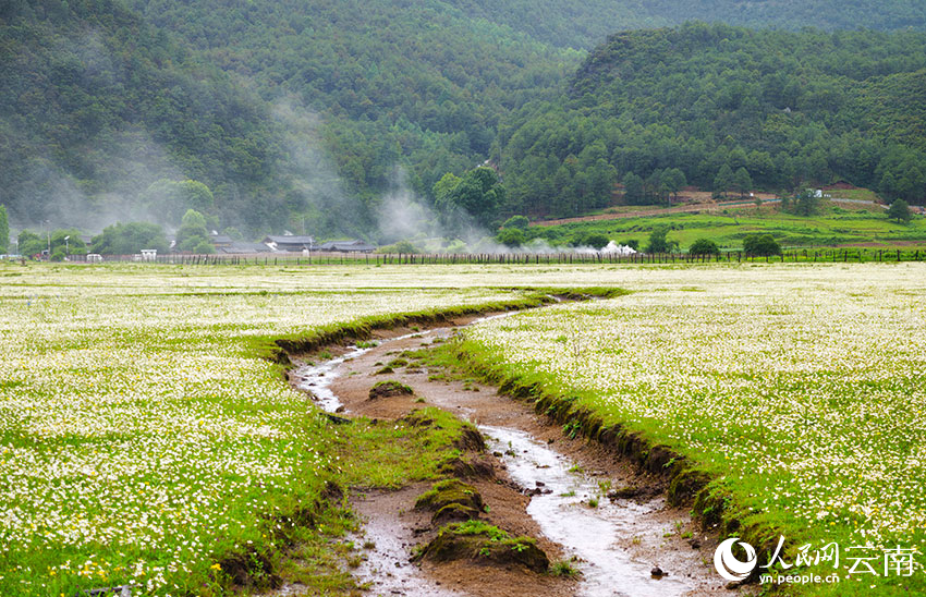 盛夏时节，丽江九子海风景如画。和俭摄