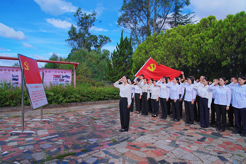 楚雄市人民法院开展“重走长征路 · 奋进新征程”主题党日活动,全体党员在烈士纪念碑前庄严宣誓。