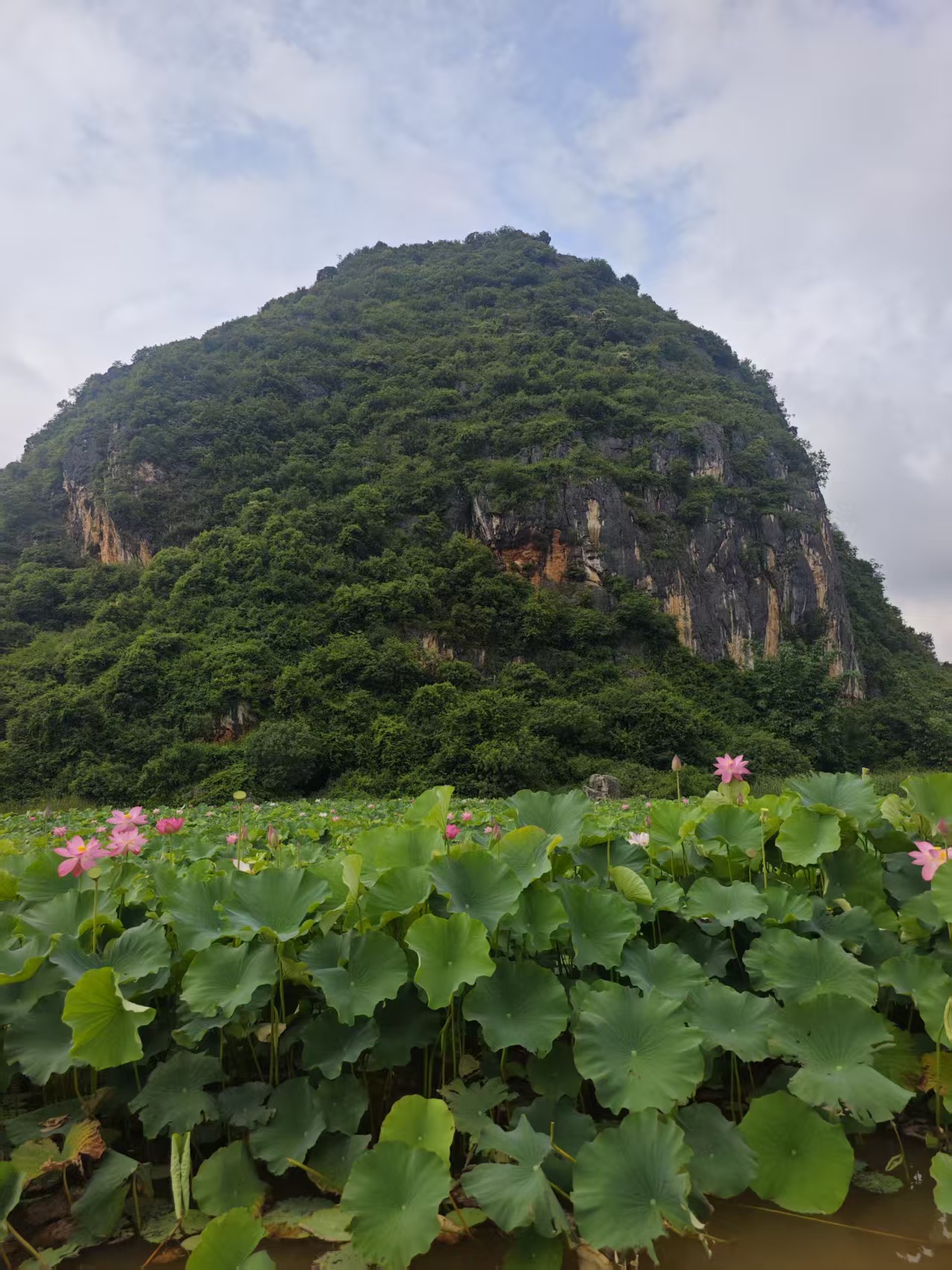 盛夏的丘北普者黑景区一角。