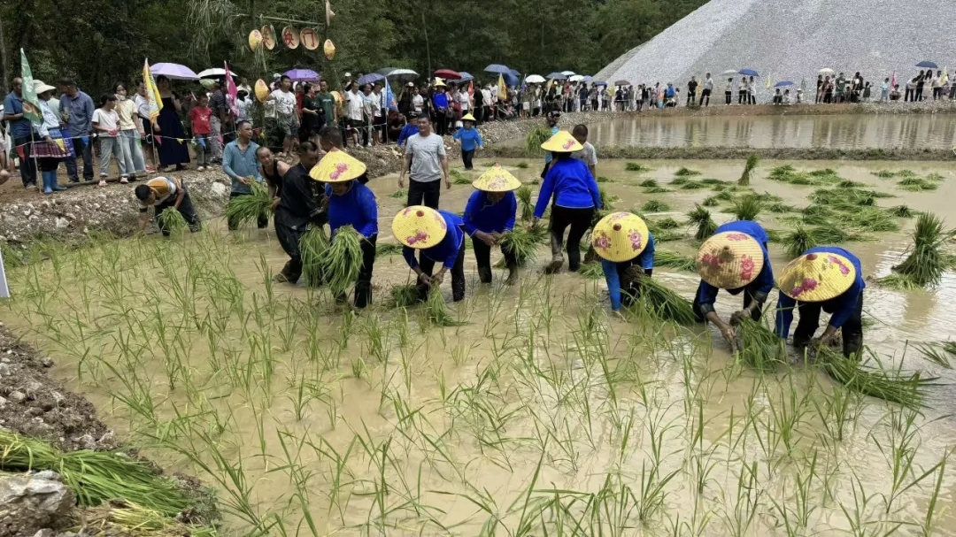 活动现场。