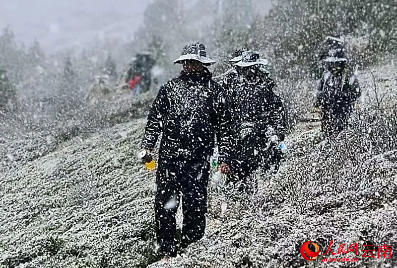 风雪中，值守人员仍在巡逻。干马七主摄