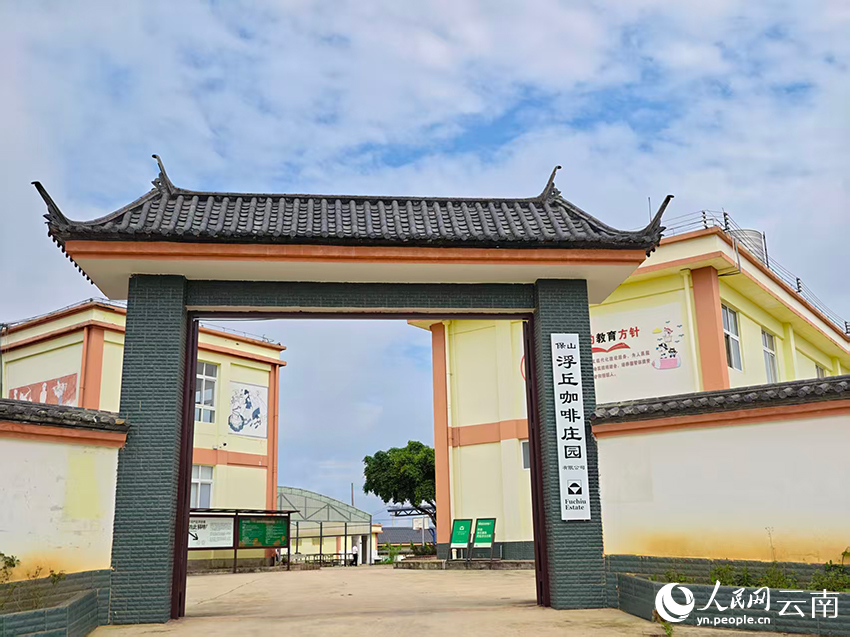 【2】保山浮丘咖啡庄園。人民網-尹馨攝