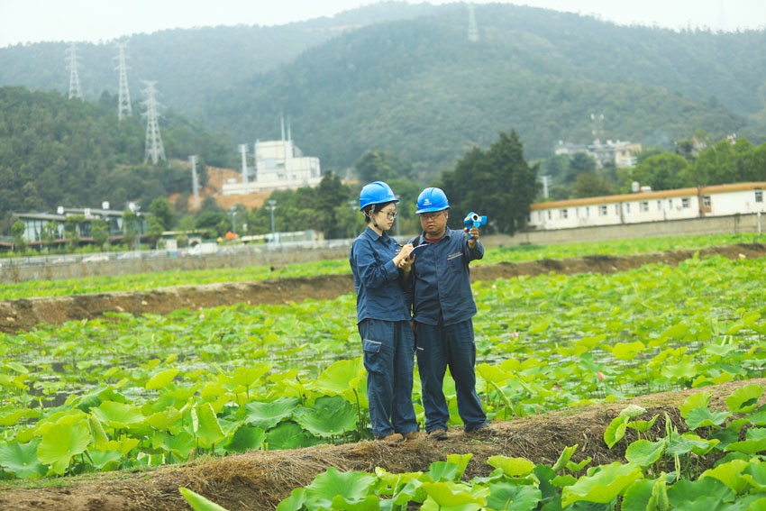 玉溪峨山供电局工作人员走进荷塘开展供电服务。