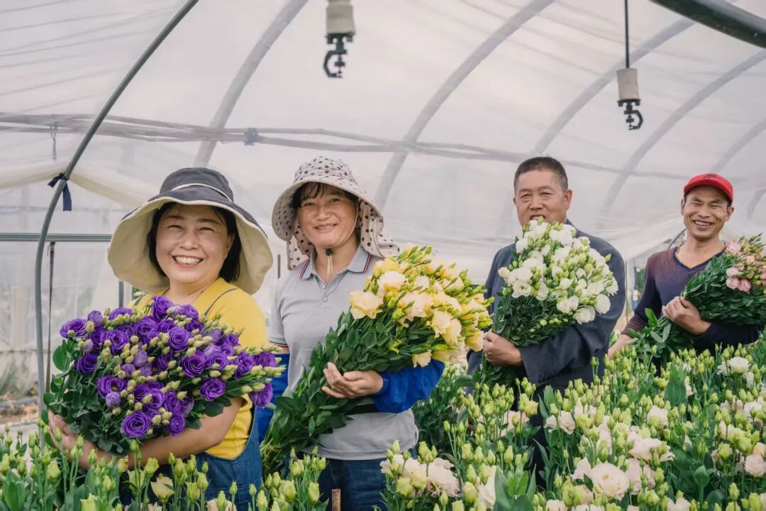 花農豐產豐收。