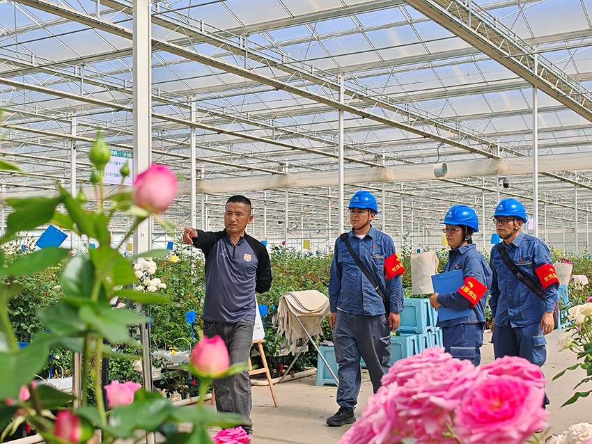 南方電網雲南麗江古城供電局金山供電所的黨員服務隊員走進花卉大棚,開展用電設施檢查。田學
