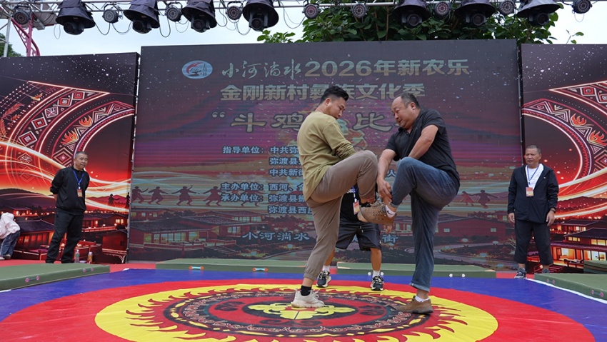 “斗雞”比賽。彌渡縣融媒體中心供圖
