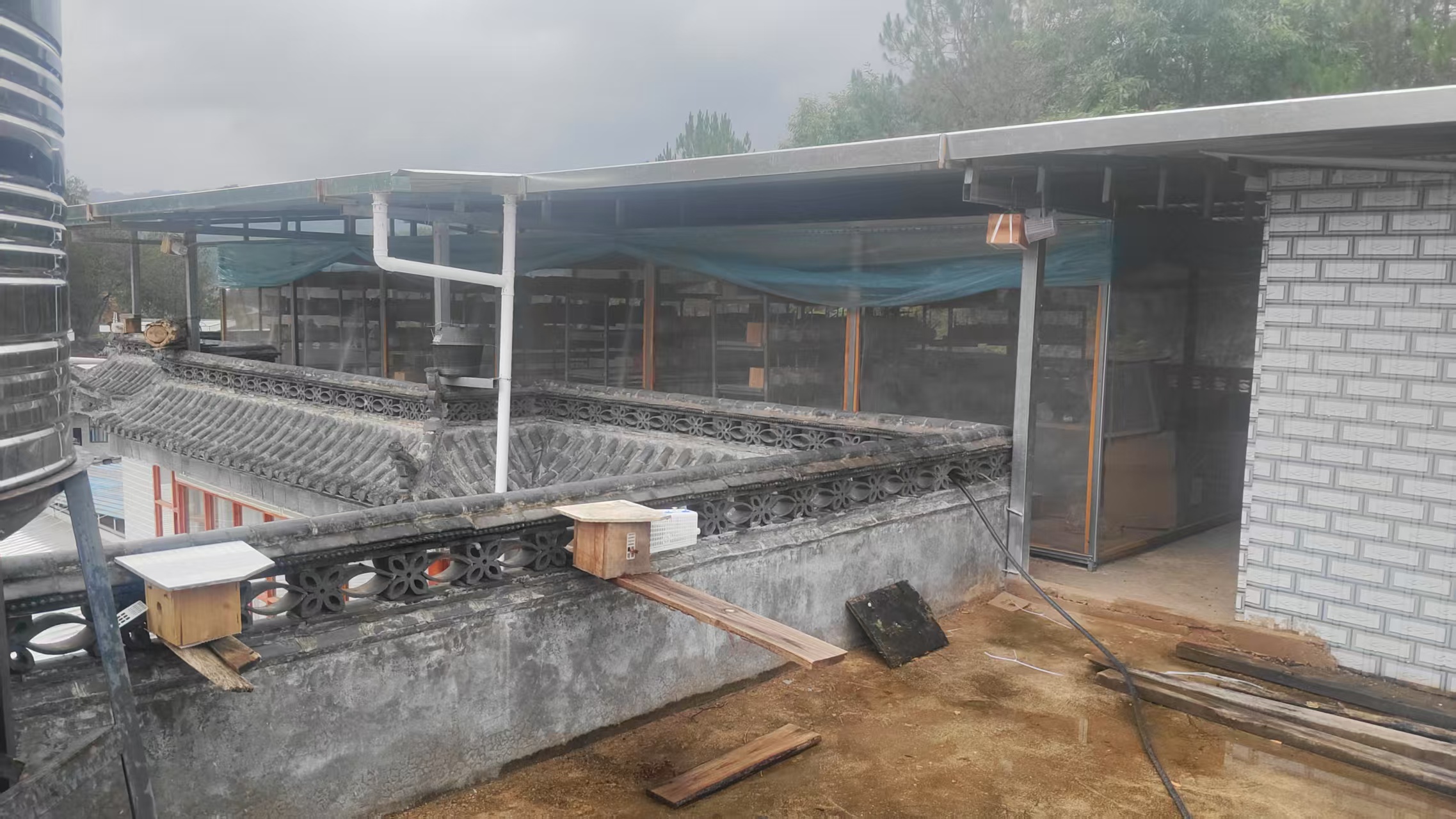 李加强在自家三楼改造的育蜂室。陆文斌摄