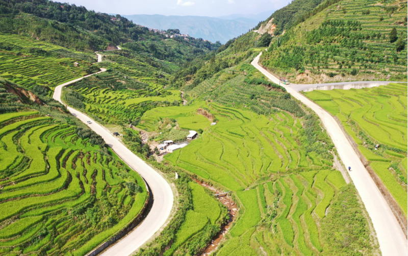 樂育尼美梯田旅游環線。紅河縣融媒體中心供圖