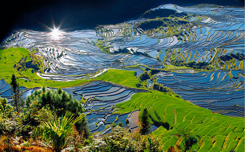 撒瑪壩梯田。紅河縣融媒體中心供圖