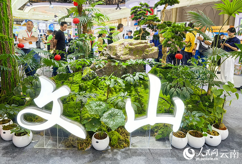 展馆一角。