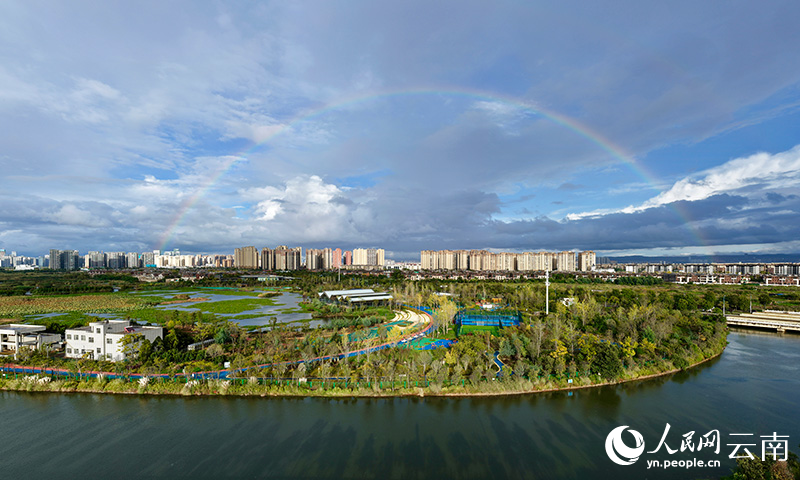 五甲塘濕地公園風光。王正鵬攝