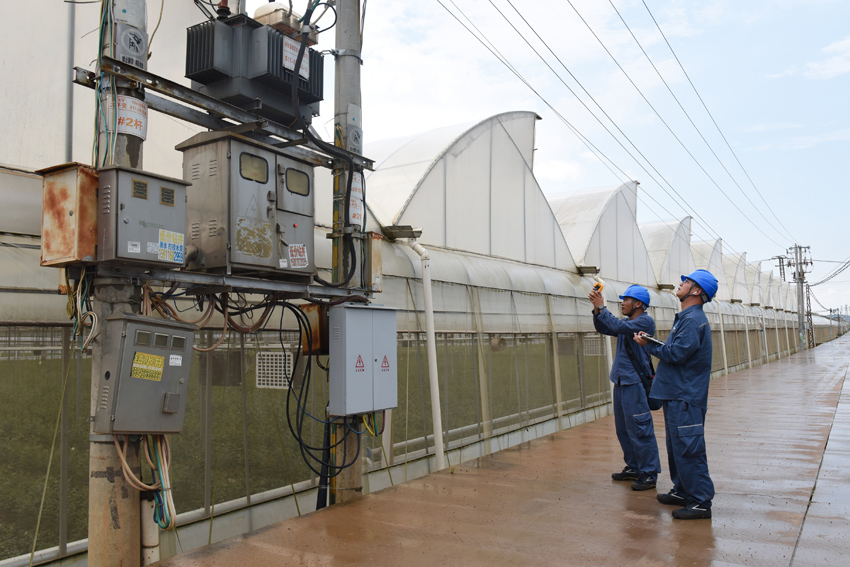 紅河瀘西供電局金馬供電所工作人員利用測溫儀檢查基地變壓器。