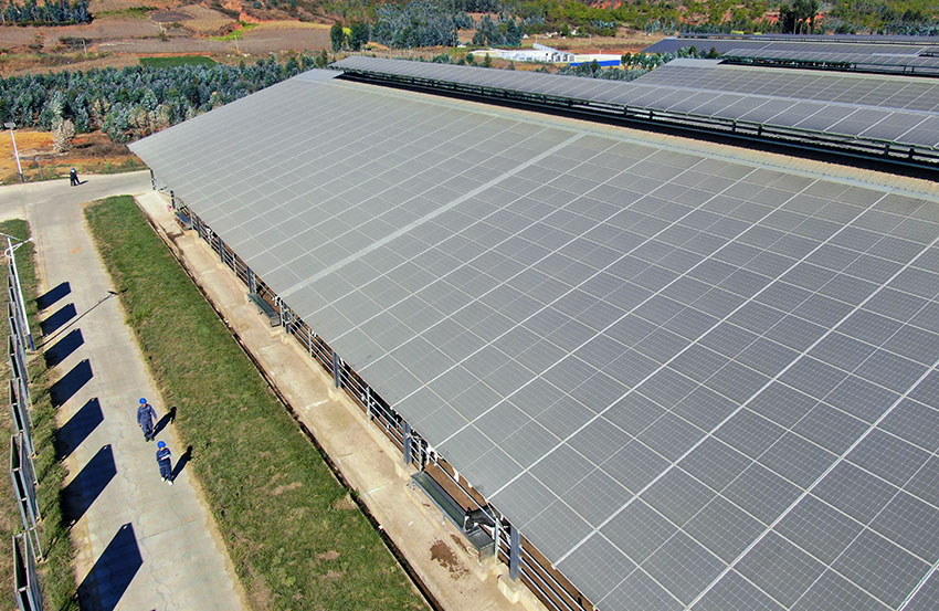 南方電網雲南大理祥雲供電局供電服務人員到祥雲縣萬頭奶牛牧場10兆瓦分布式光伏項目開展巡視檢查。楊鈺清攝