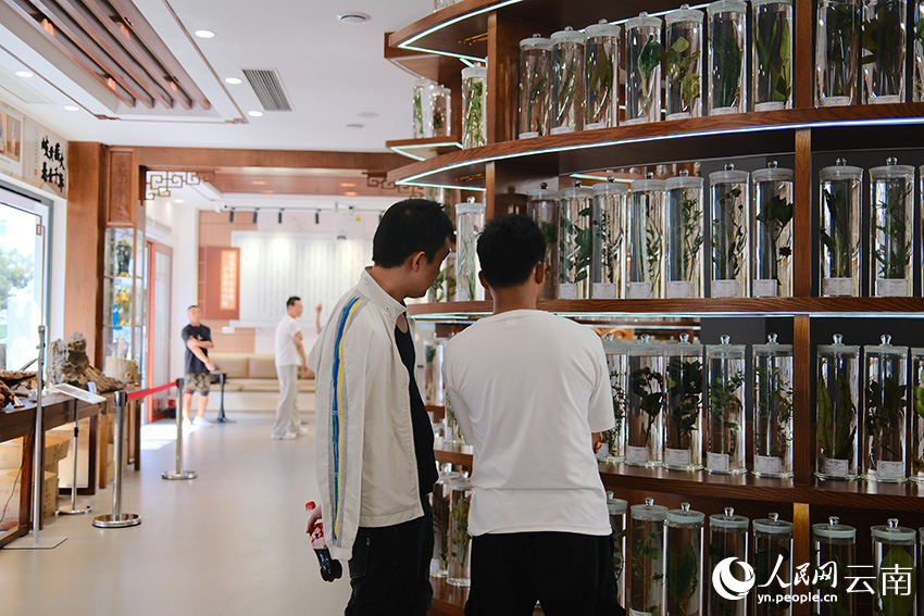 消费者在等待奶茶间隙，到中医药文化馆里参观。人民网记者 蔡树菁摄