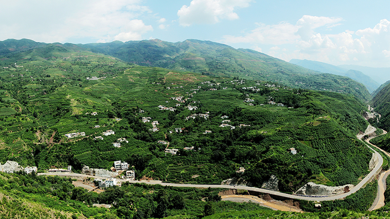 2、龙头山万亩花椒基地。丁世新摄-