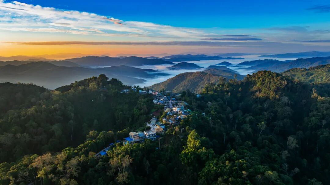這是雨林生態持續向好的五年