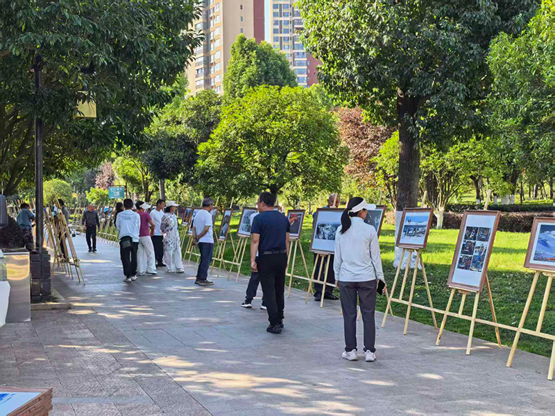 避暑期间省耕公园国画展、摄影：扬志坤