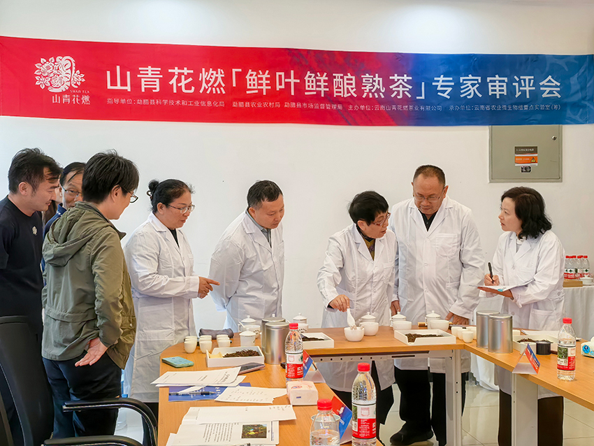 專家評審現場