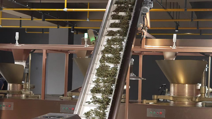 山青花燃茶廠