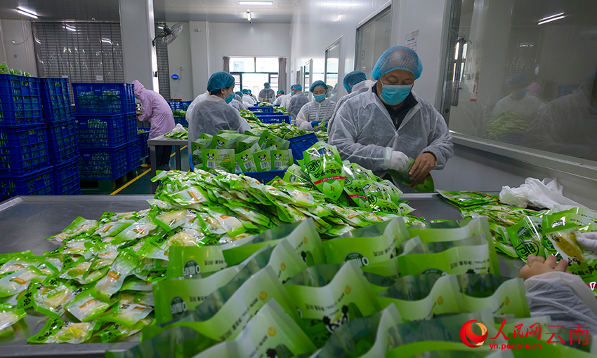 工人们在分拣加工好的竹笋产品。人民网记者 符皓摄