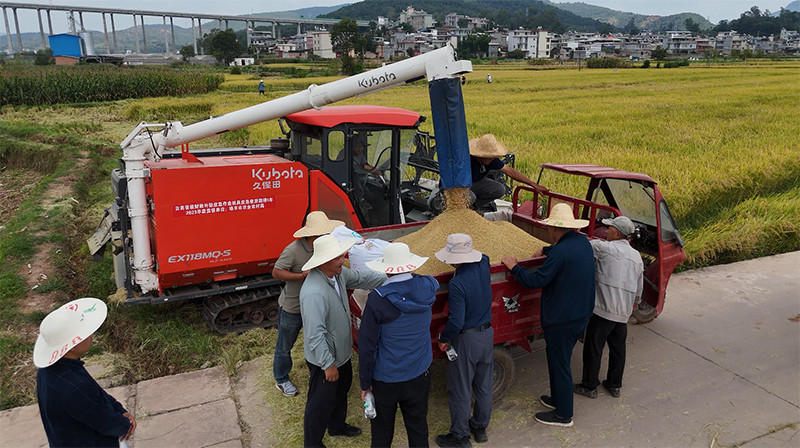 測產田塊機收放糧。