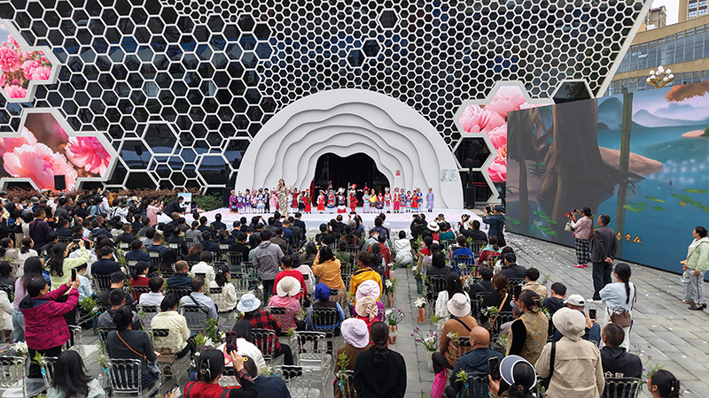活動現場。主辦方供圖