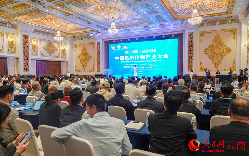 9月17日上午，中国热带作物产业大会在云南省昆明市开幕。人民网记者 虎遵会摄