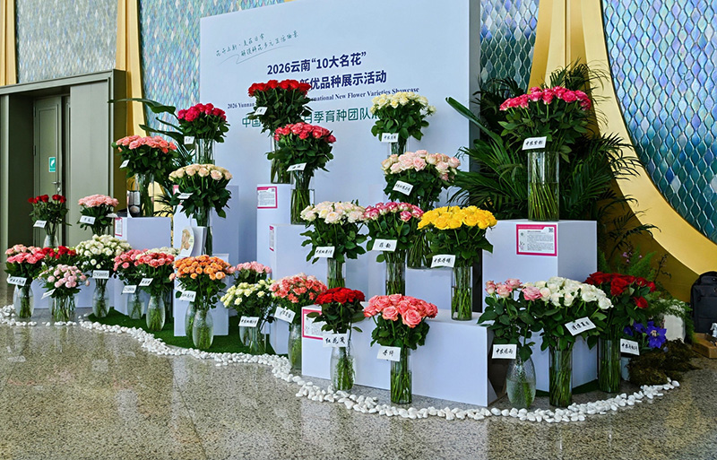 展馆一角。
