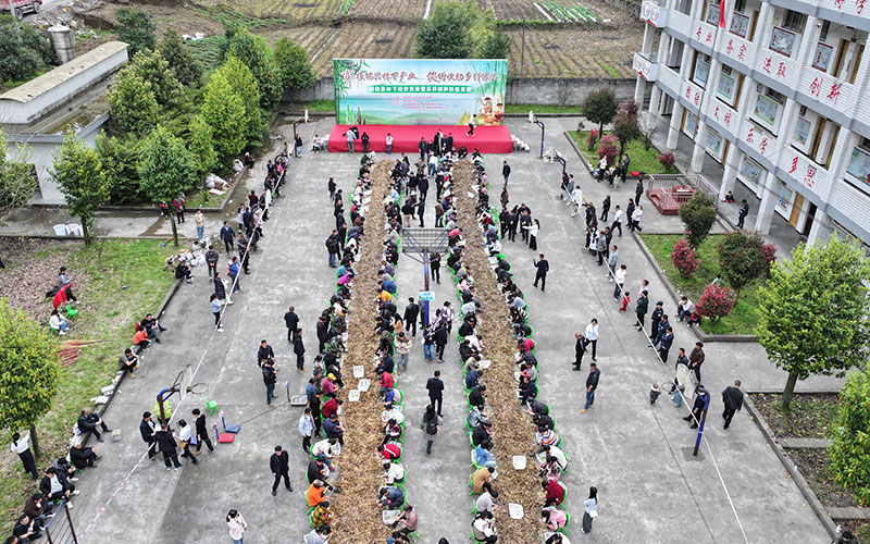150人参与剥笋大赛。