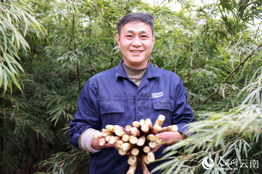 大關縣農戶喜獲豐收。唐應平攝