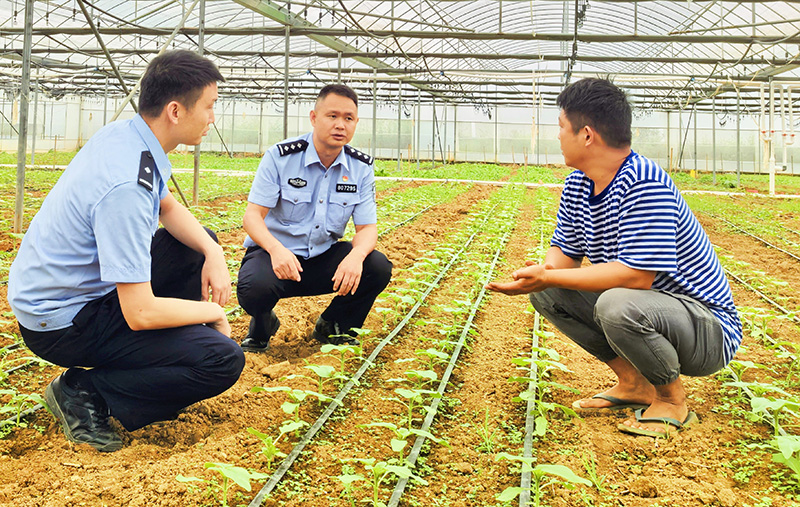 民警在花田巡逻。