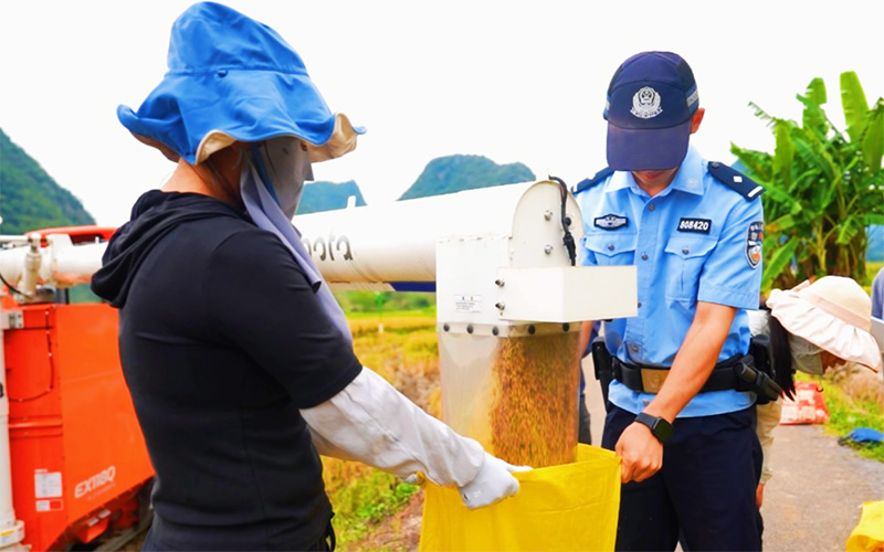 民警帮助群众收稻谷。