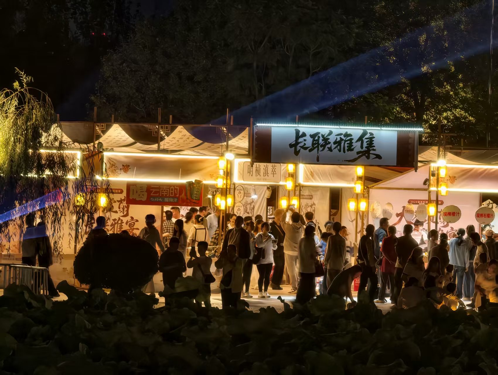 夜游大观公园。