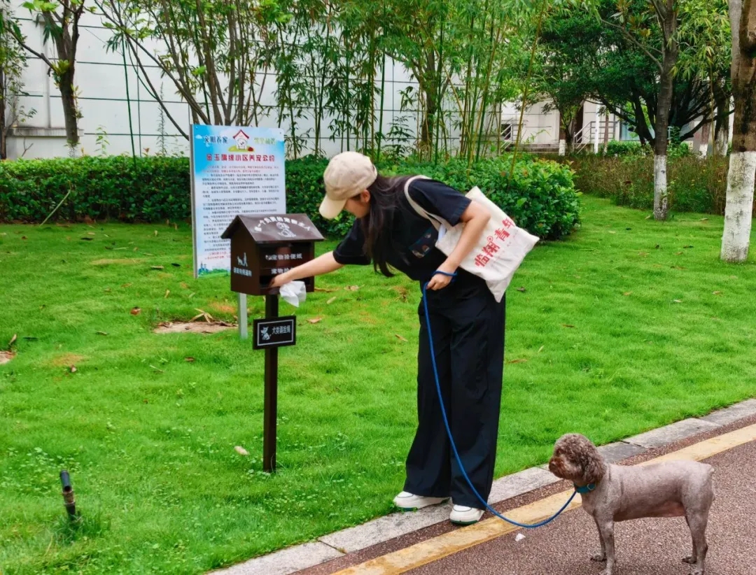 临沧市临翔区多措并举推动文明养犬，让文明成为自觉。来源：“微播临翔”微信公众号