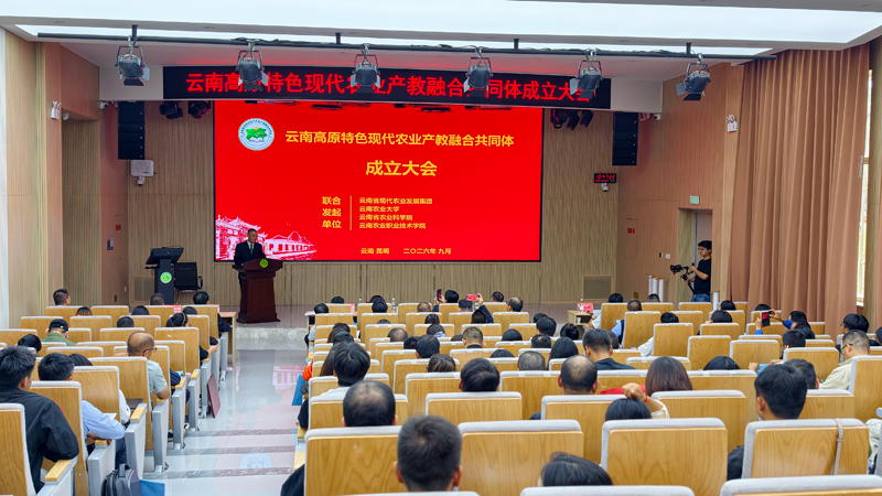 活动现场。