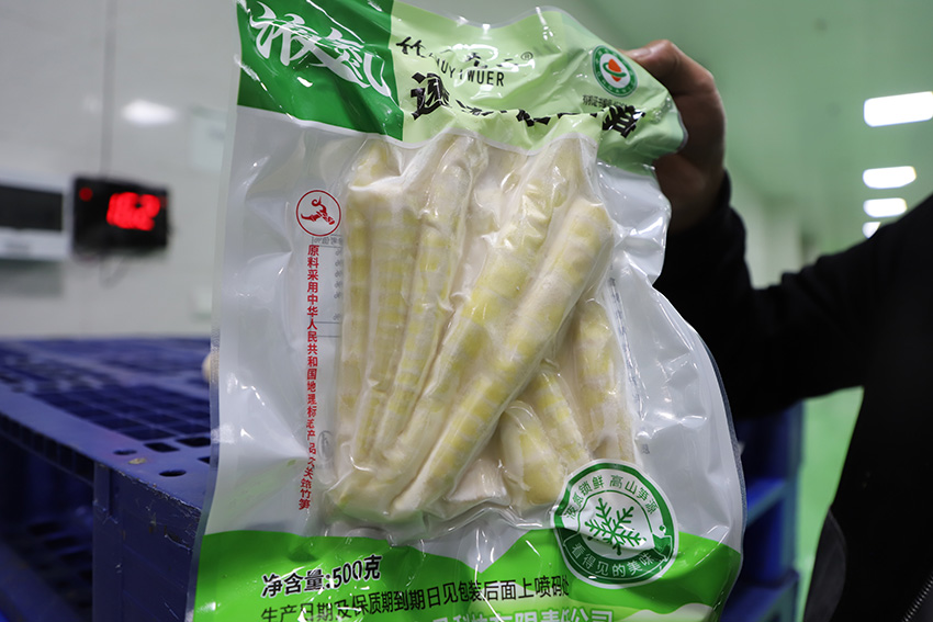 經過液氮鎖鮮的方竹筍（2026年9月29日彭明星拍攝）-(1)-2