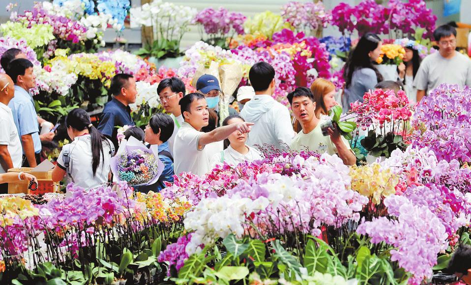 昆明斗南花卉市場鮮花交易火爆。楊崢攝