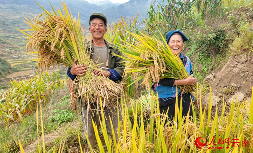 豐收都寫在笑臉上。毛敬華攝
