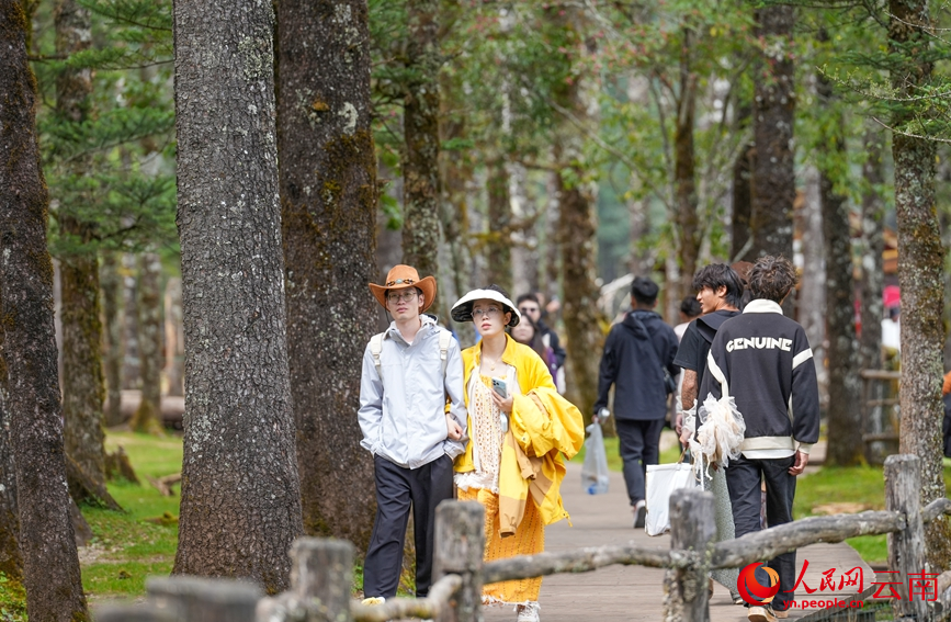 游客在丽江云杉坪栈道上漫步。人民网记者 虎遵会摄