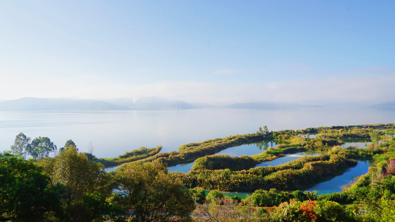 活水滋养湿地，异龙湖生态持续向好。姚春摄